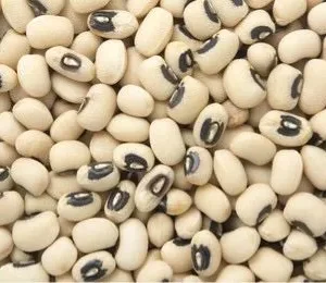 Blacked eyed lobia