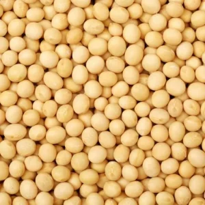 Yellow Peas